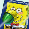 Sherm.fun